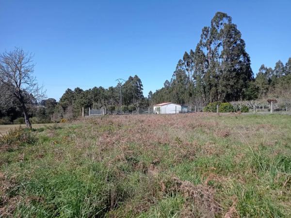 Terreno en calle Campeiro, 5 photo 4