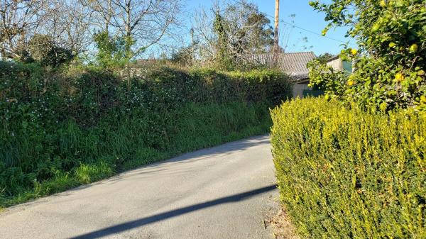 Terreno en Paderne de Abaixo photo 2