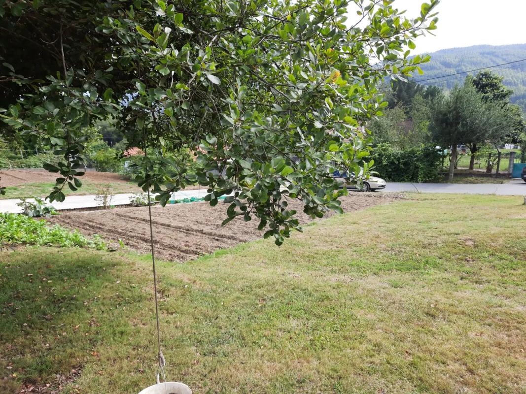 Terreno en venta en Oza-Cesuras, A Coruña photo 3