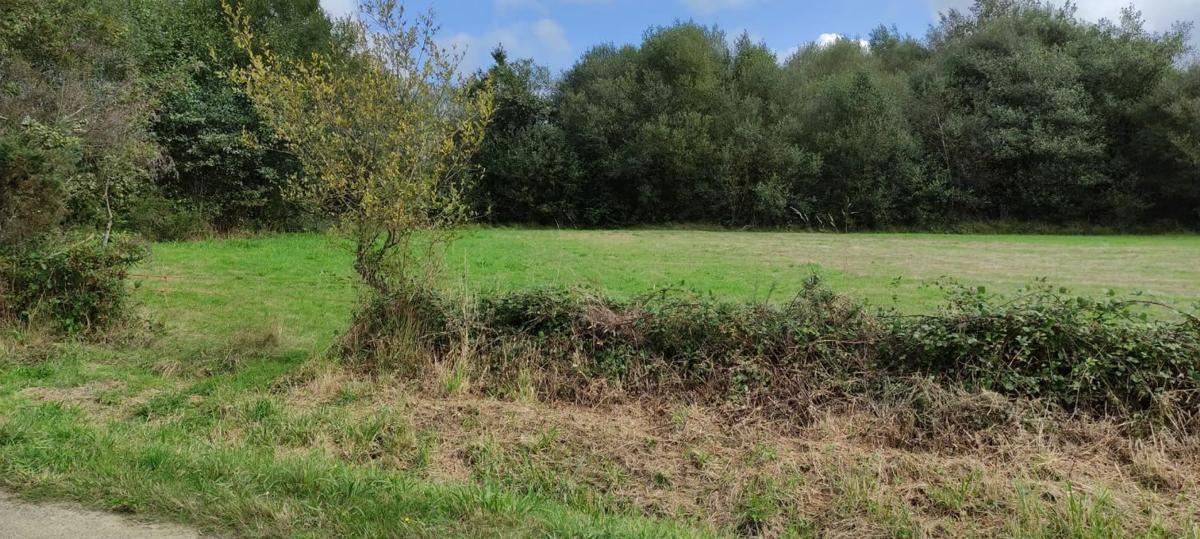 Terreno en venta en Vilasantar, A Coruña photo 5