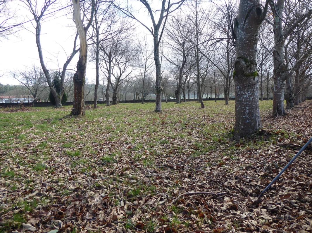 Terreno en venta en Paderne, A Coruña photo 3
