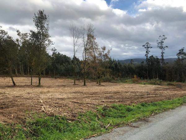 Terreno en Lugar Figueiras, 15 photo 3