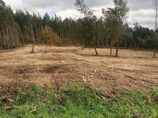 Terreno en Lugar Figueiras, 15 photo 4
