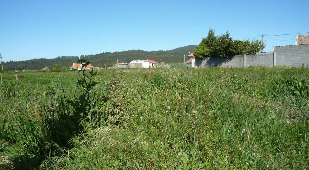 Terreno en venta en Miño, A Coruña photo 3