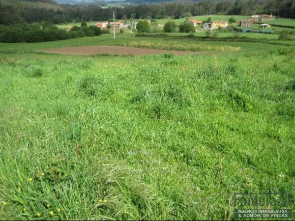 Terreno en Mangoño photo 3