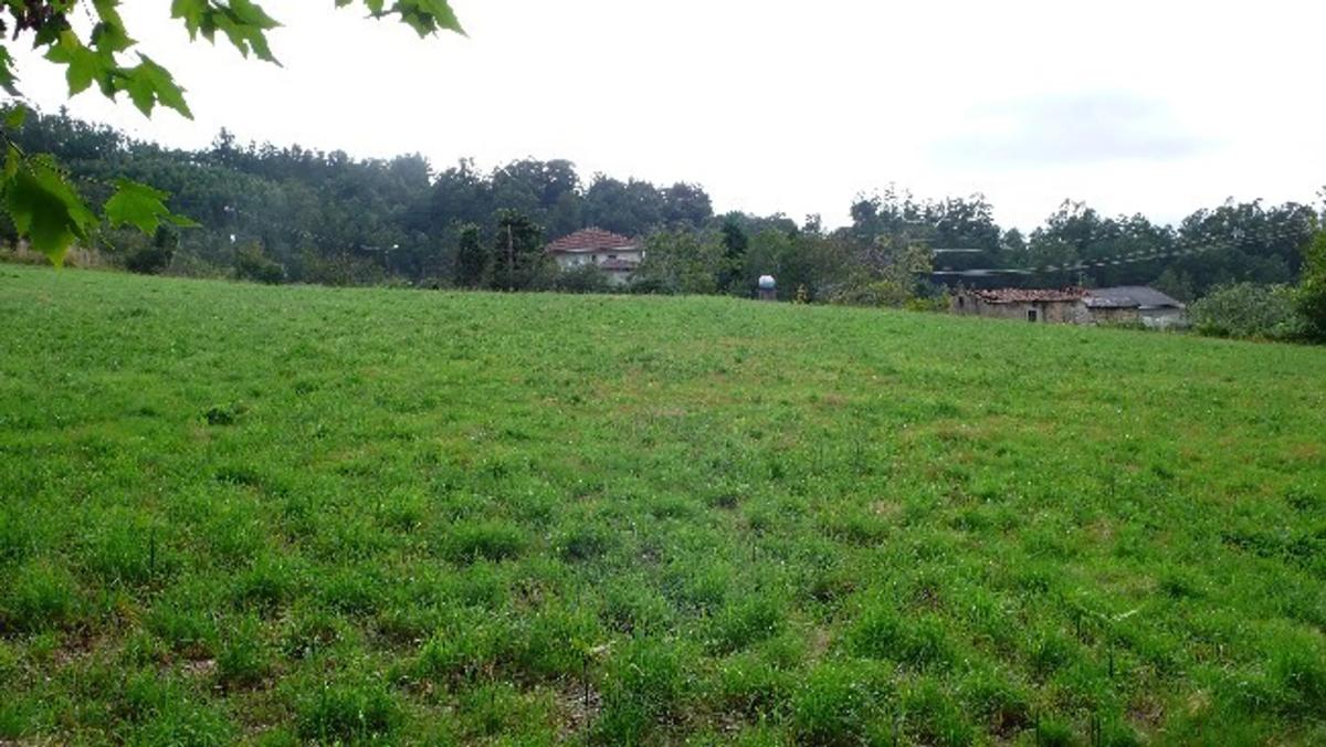 Terreno en venta en Vilarmaior, A Coruña photo 2