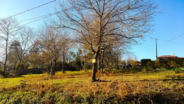 Terreno en Lois s/n photo 1