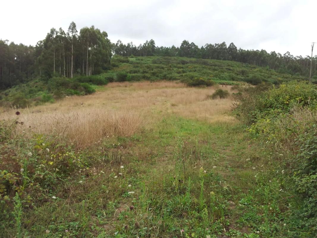 Terreno en venta en Oza-Cesuras, A Coruña photo 5