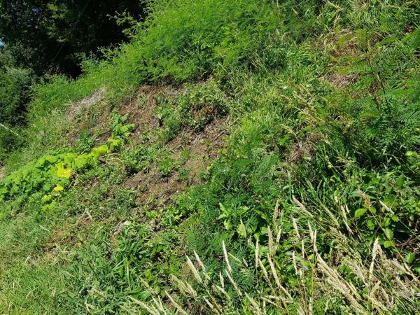 Terreno en Ribeira, 1 photo 1