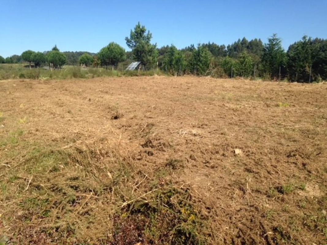 Terreno en venta en Miño, A Coruña photo 3