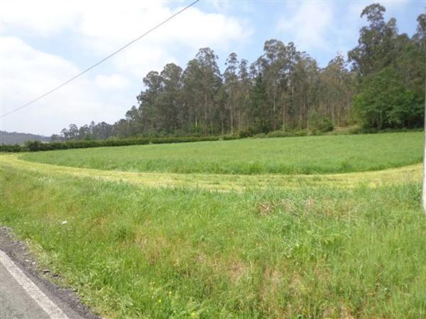 Terreno en cal de samede s/n photo 2