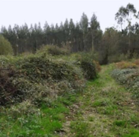 Terreno en Monfero photo 3