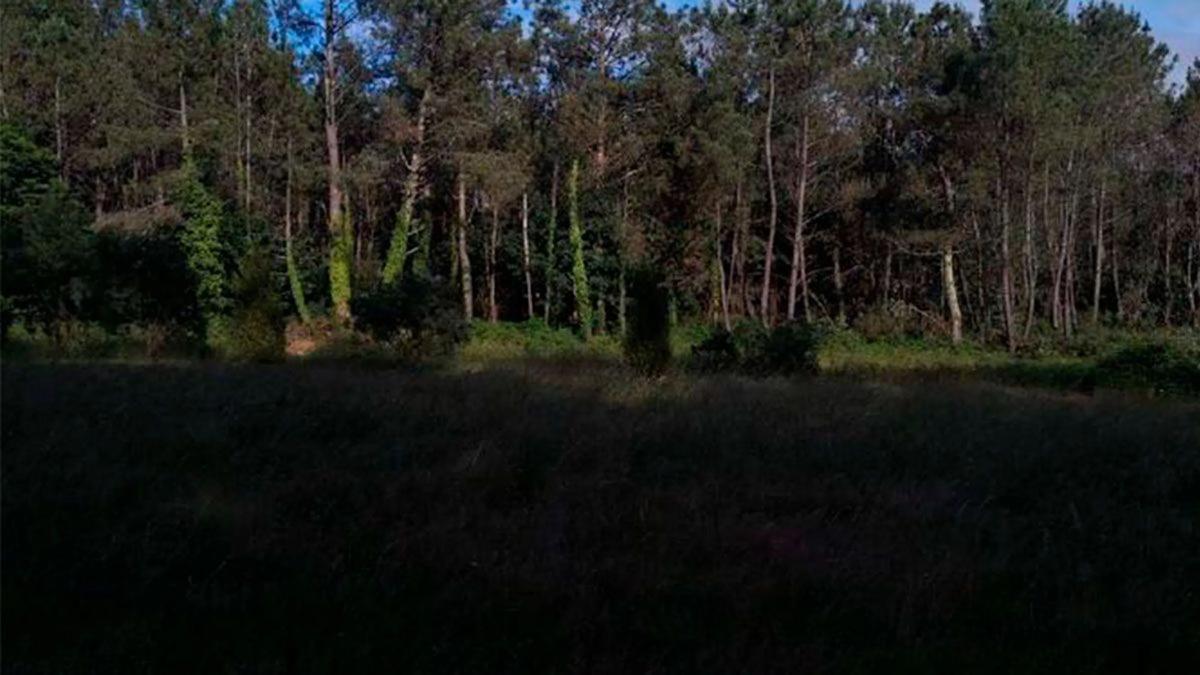 Działka na sprzedaż w Monfero, A Coruña photo 4