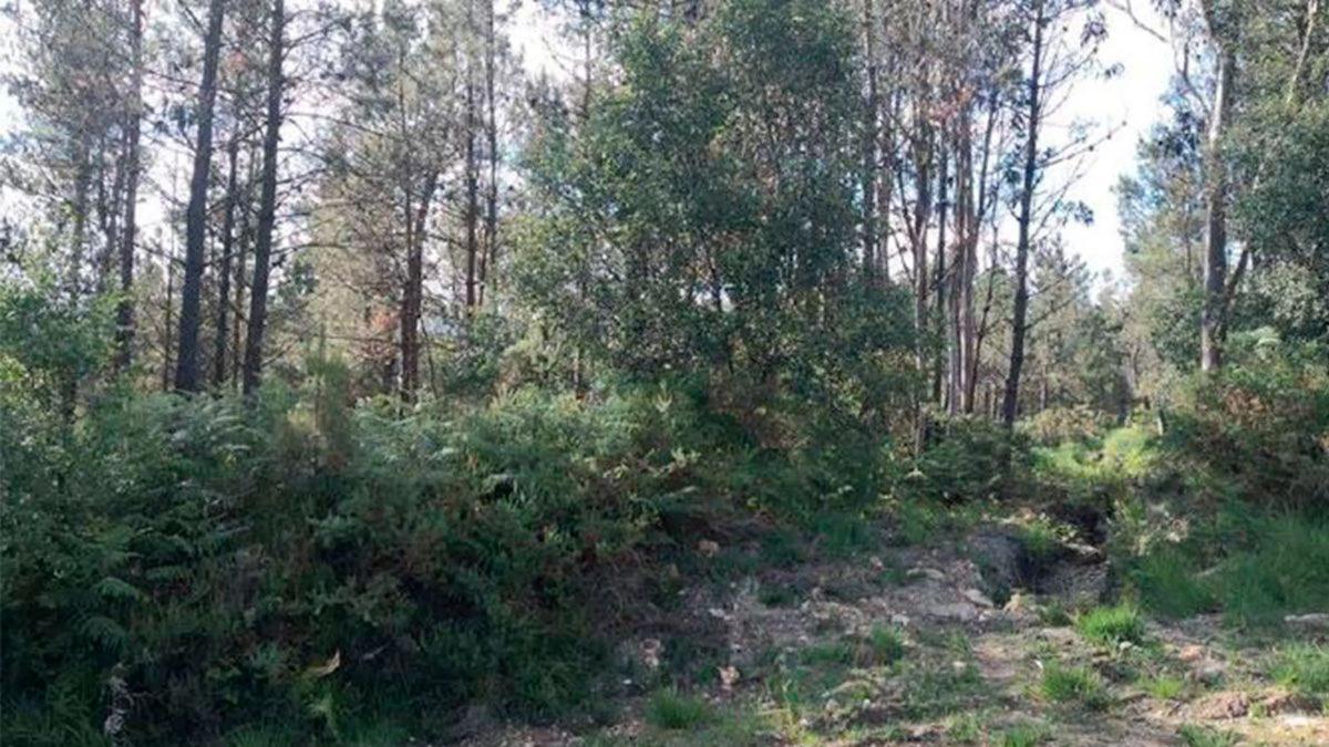Działka na sprzedaż w Monfero, A Coruña photo 5