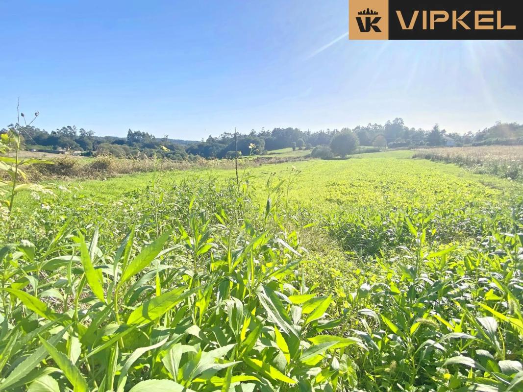 Terreno en venta en Negreira, A Coruña photo 3