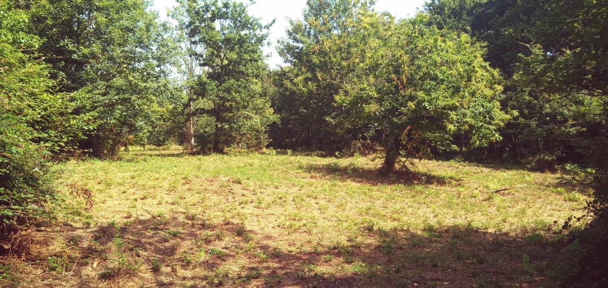 Terreno en venta en Negreira, A Coruña photo 4