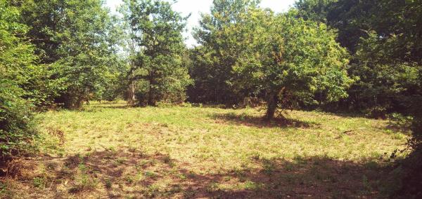 Terreno en Zas, 1 photo 4