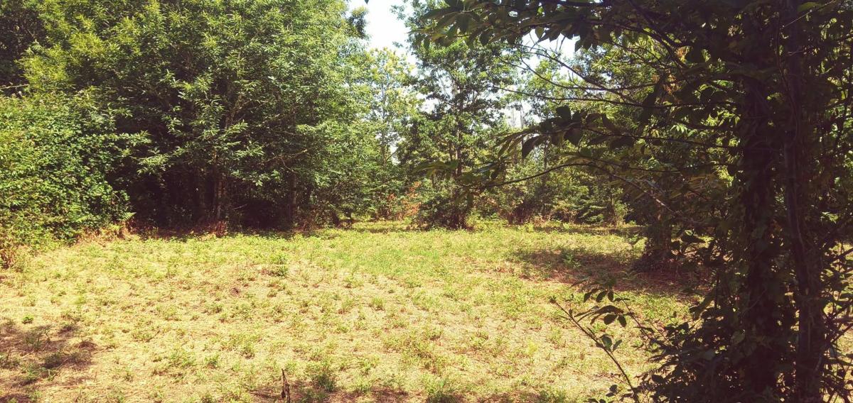 Terreno en venta en Negreira, A Coruña photo 5