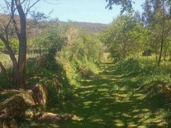 Terreno en Negreira photo 2