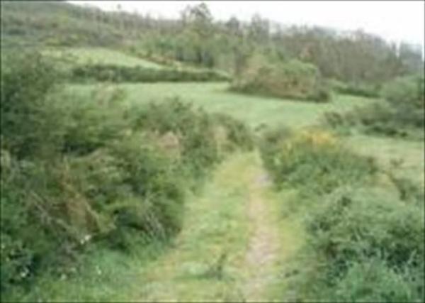 Terreno en Lueiro photo 3