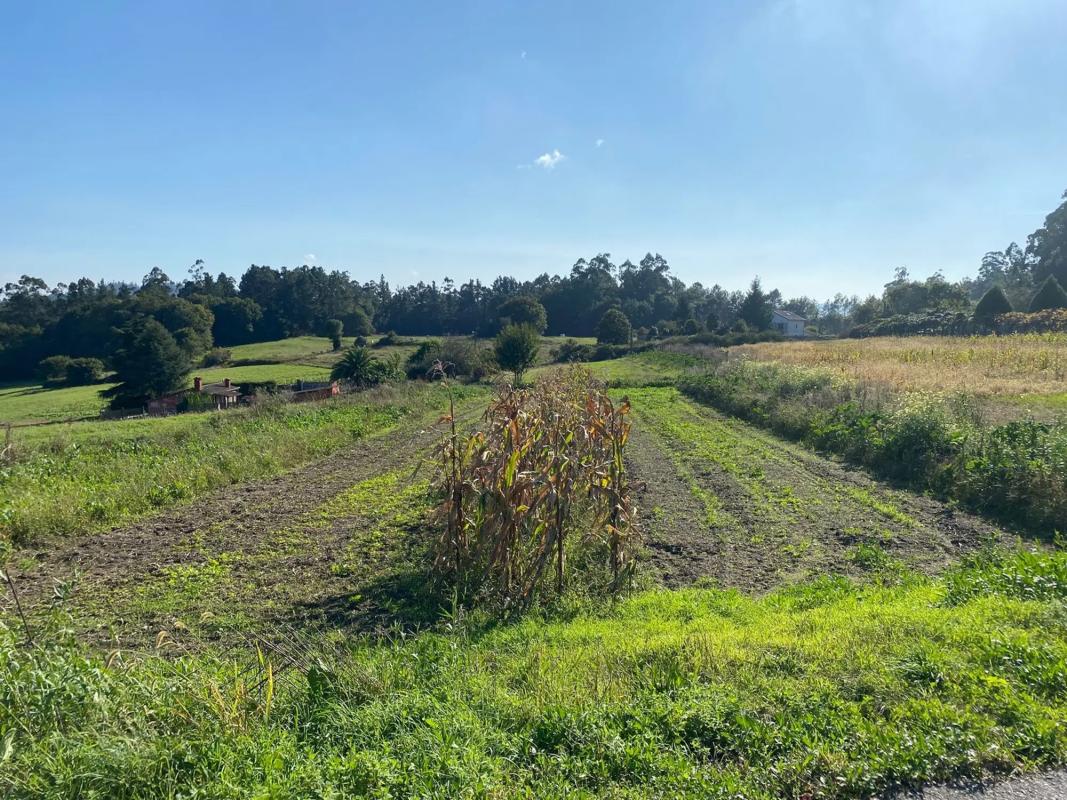 Terreno en venta en Negreira, A Coruña photo 2