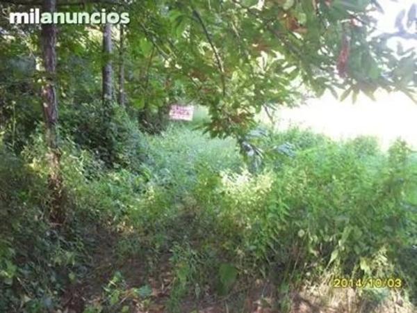 Terreno en calle Negreiroa, 7 photo 1