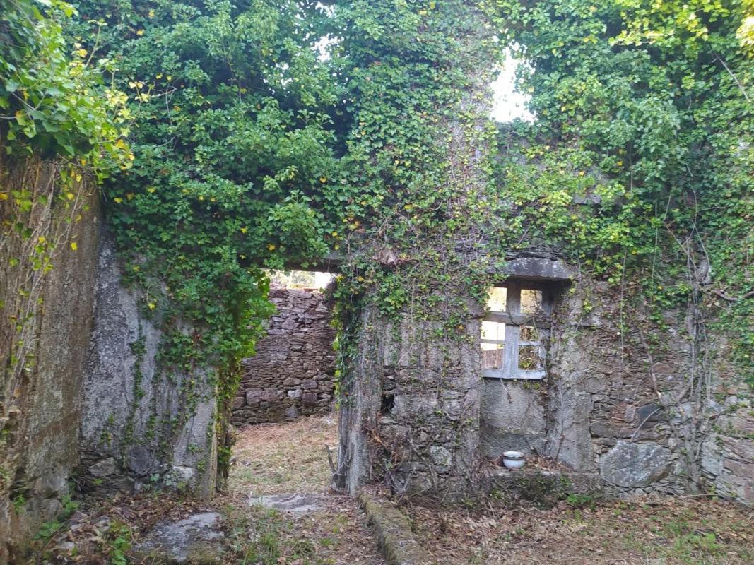 Land for sale in Lousame, A Coruña photo 3