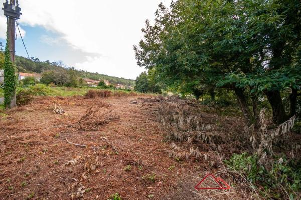 Terreno en calle Entins s/n photo 3