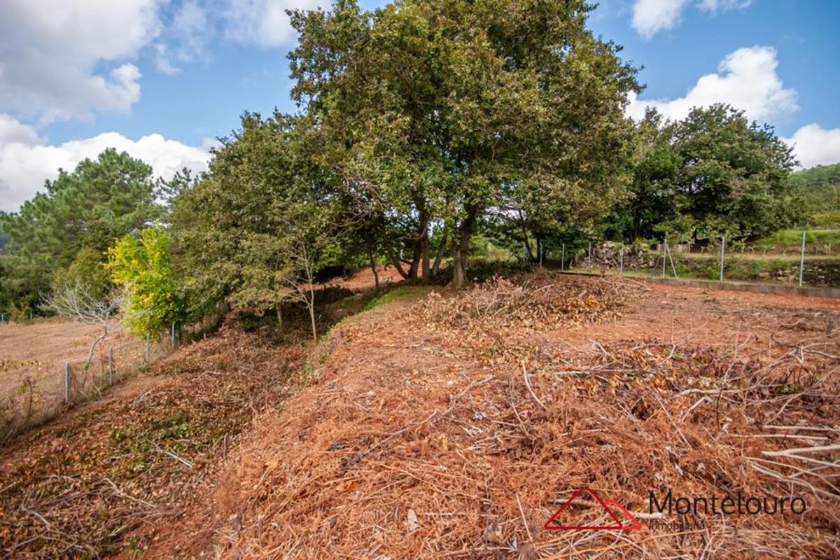 Land for sale in Outes, A Coruña photo 5