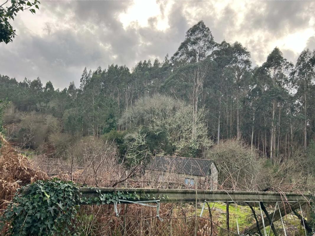 Land for sale in Lousame, A Coruña photo 3