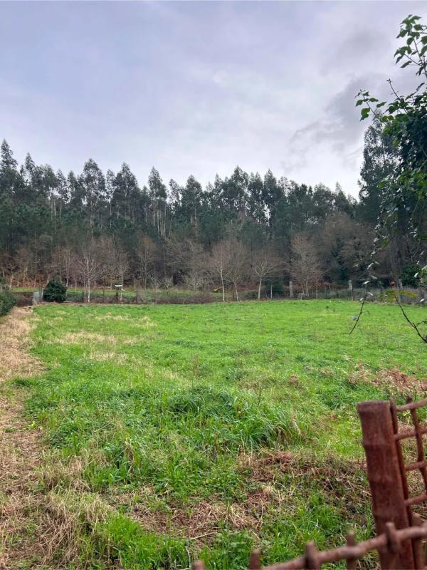 Land for sale in Lousame, A Coruña photo 4
