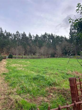 Terreno en Lugar Millon photo 4