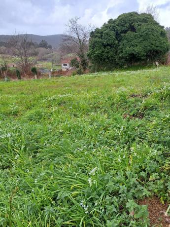 Terreno en Pista Carantoña, 5 photo 1