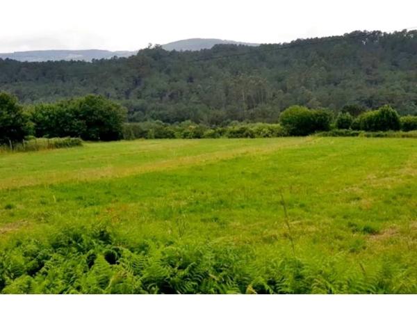 Terreno en Lg Chave s/n photo 2