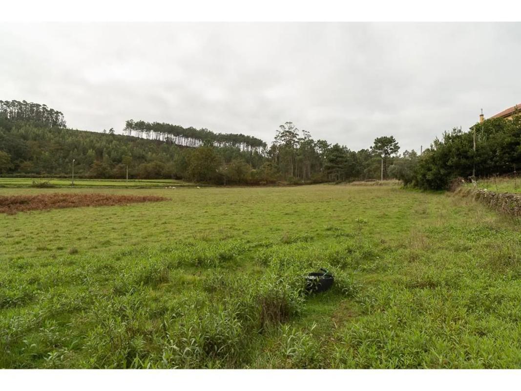 Terreno en venta en Porto do Son, A Coruña photo 5