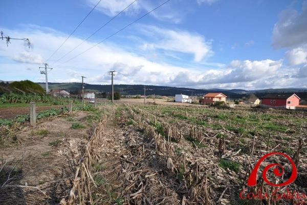 Terreno en lugar brion abaixo photo 1