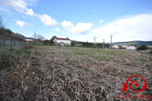 Terreno en lugar brion abaixo photo 2