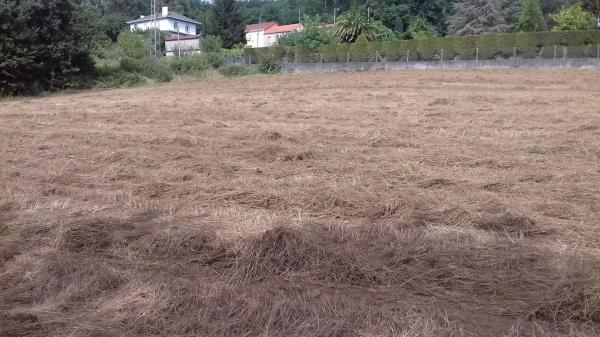 Terreno en Dp-4502, km 10 photo 1
