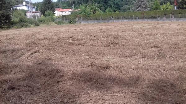 Terreno en Dp-4502, km 10 photo 3
