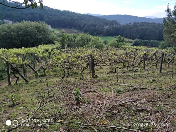 Terreno en Dp-4201, 1 photo 4