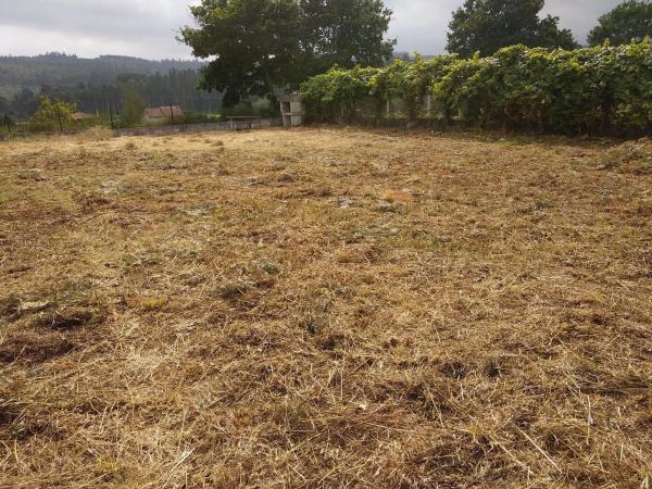 Terreno en Lugar Amenal s/n Sn photo 1