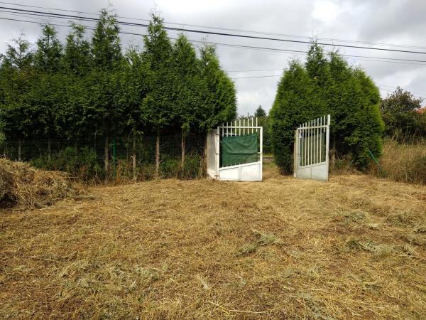 Terreno en Lugar Amenal s/n Sn photo 2