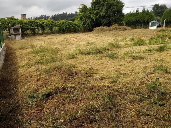 Terreno en Lugar Amenal s/n Sn photo 4