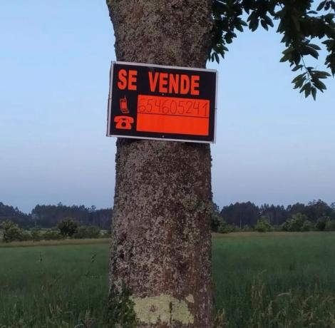 Terreno en Polígono 501 Parcela 20211 s/n photo 3