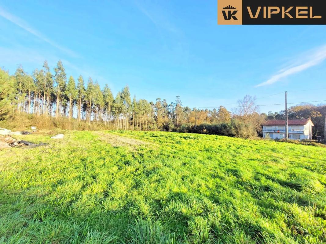 Участок земли на продажу в О Пино, Ла-Коруня photo 1