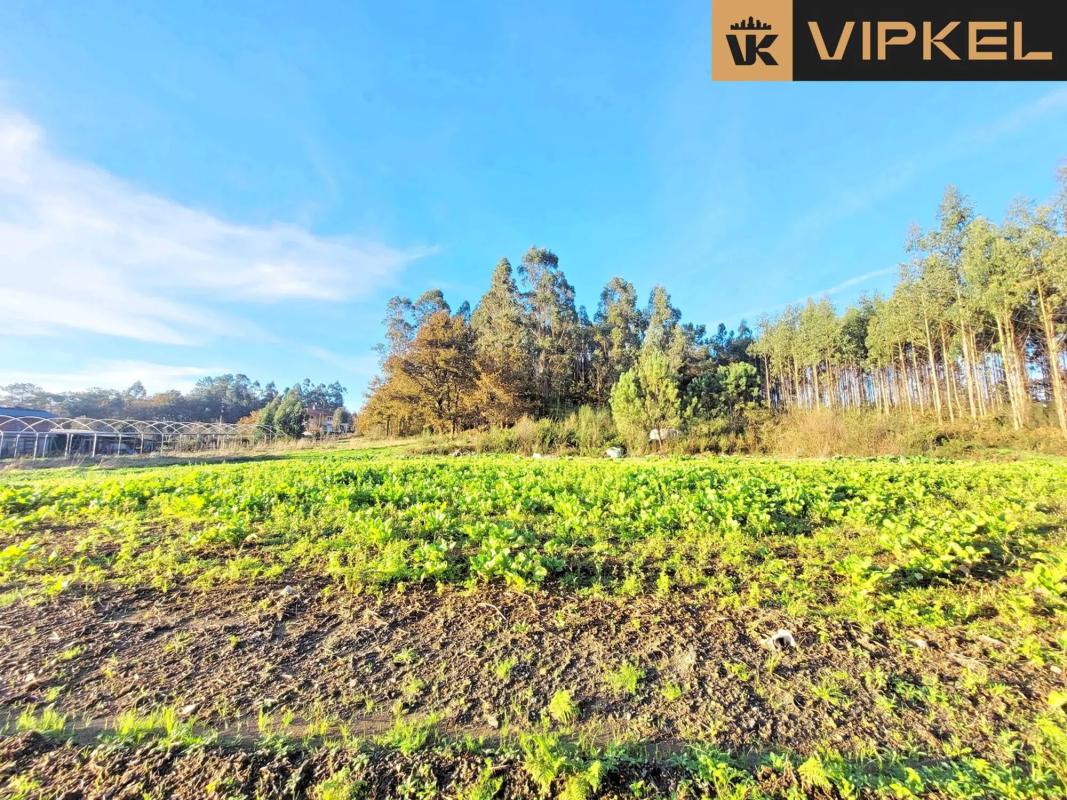 Участок земли на продажу в О Пино, Ла-Коруня photo 3