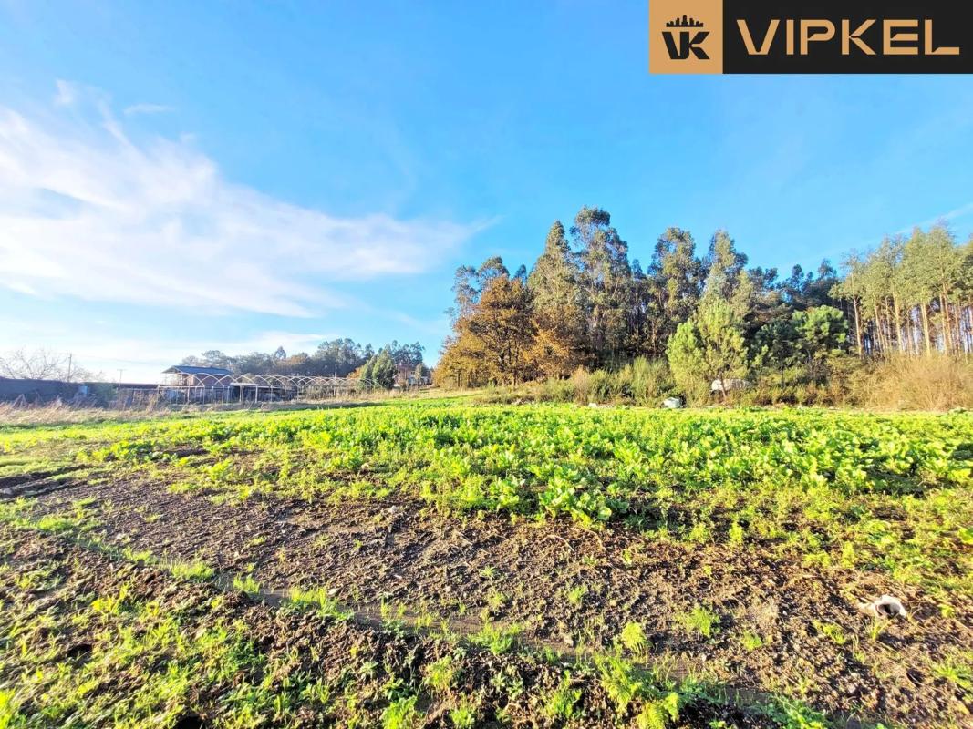 Участок земли на продажу в О Пино, Ла-Коруня photo 4