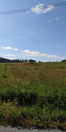 Terreno en Unnamed Road s/n photo 2