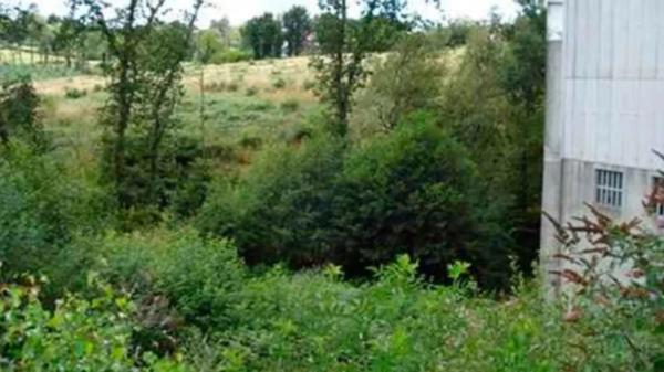Terreno en Ordes photo 3
