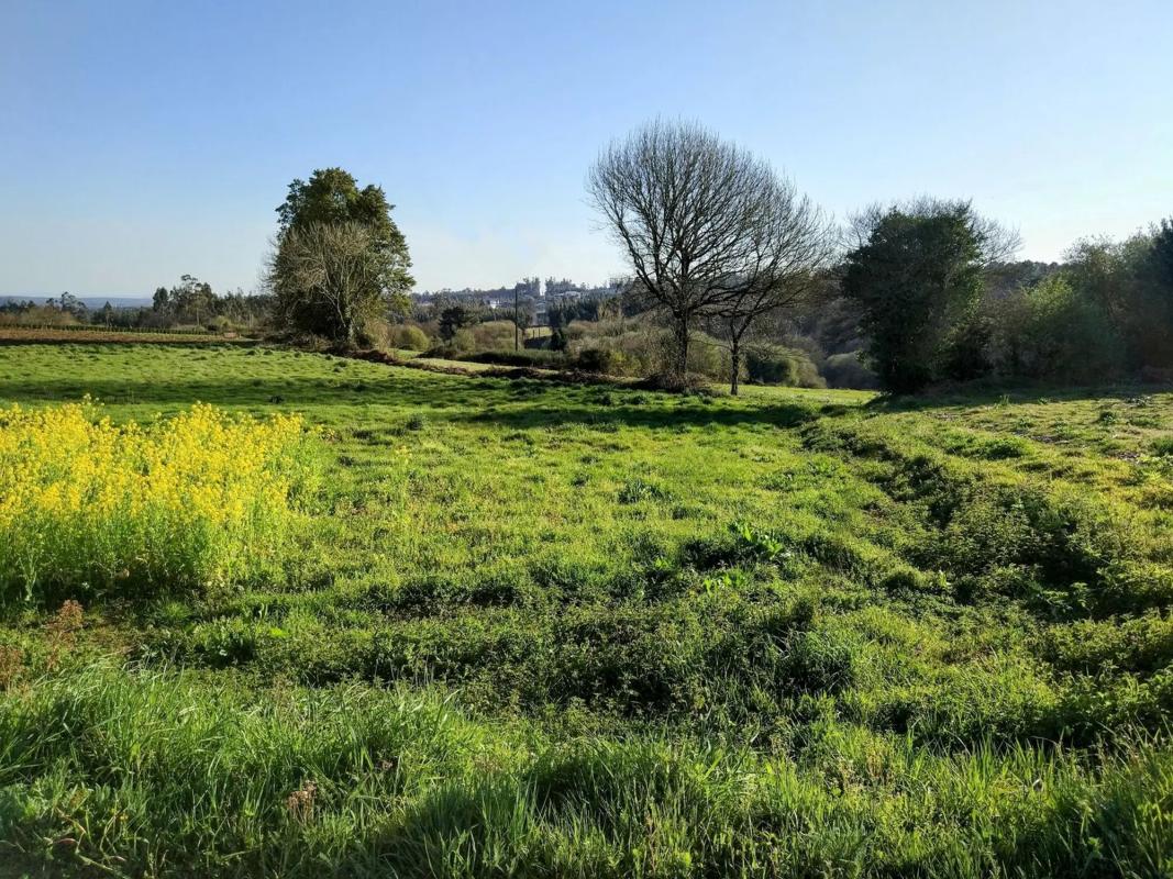 Land for sale in Ordes, A Coruña photo 4